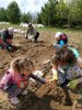 В поселении Ковчег появился новый проект - Школьный огород